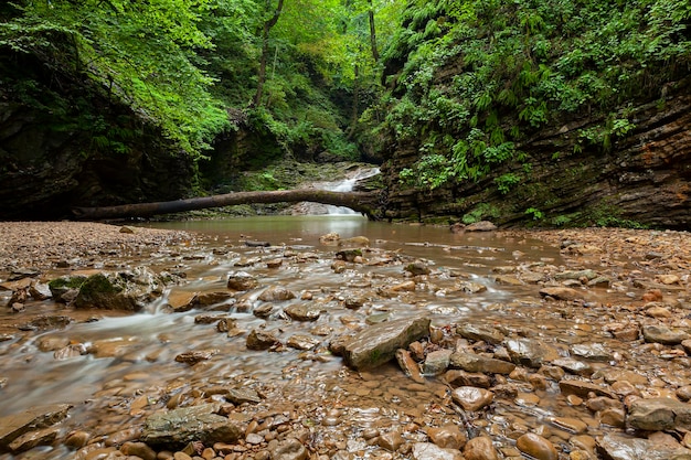 Rivière de montagne République d'Adygea