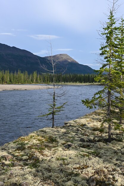 La rivière Muksun sur le plateau de Putorana