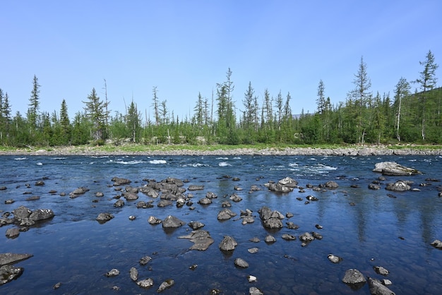 Rivière Nakta sur le plateau de Putorana