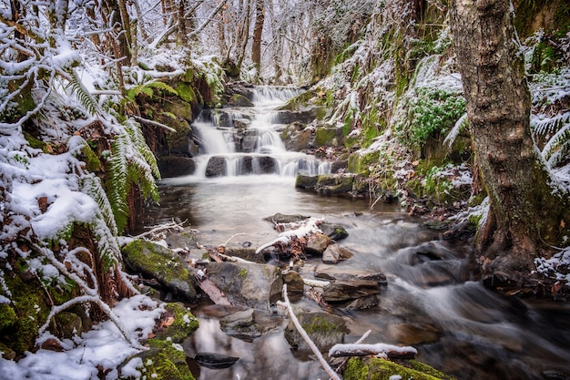 rivière de neige