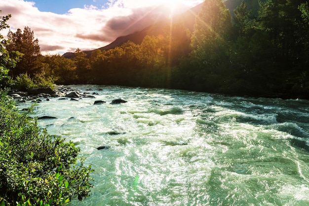 Rivière en Norvège