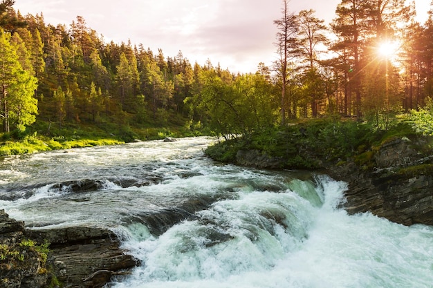 Rivière en Norvège