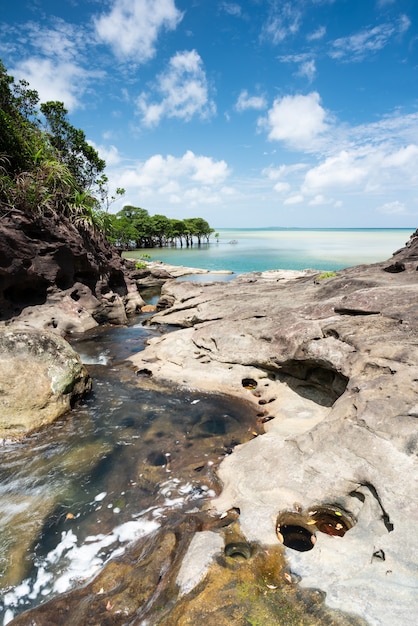 La rivière Omijya qui descend des rochers rencontre la mer cristalline. Île d'Iriomote