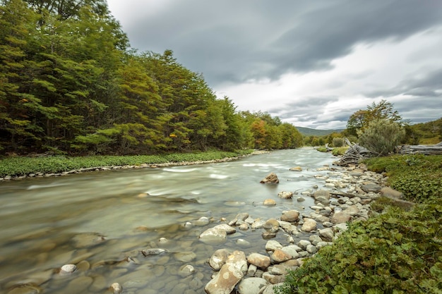 La rivière par les arbres