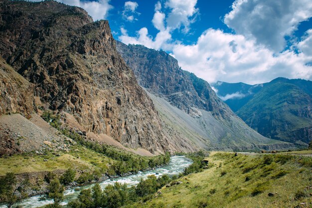 Rivière parmi les hautes montagnes. Paysage pittoresque de montagnes rocheuses de l'Altaï et de la rivière Chulyshman. Chaîne de montagnes, rivière, côte verte, ciel bleu et nuages blancs.