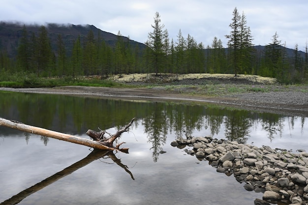 Une rivière sur le plateau de Putorana