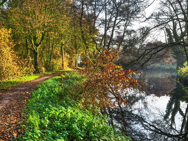 La rivière près de Borken.