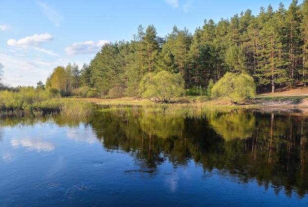 Rivière de printemps dans la région de Riazan en Russie