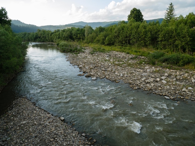 La rivière Prut coule dans un ruisseau orageux entre les rivages rocheux et les forêts des Carpates à l'horizon