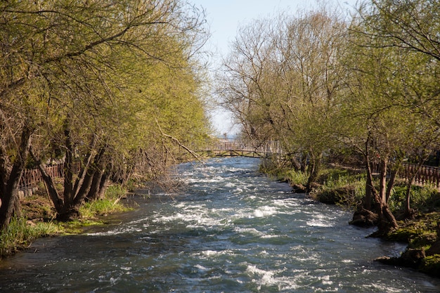 Une rivière qui coule et une belle nature