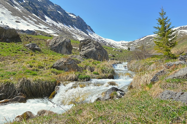 Rivière qui coule dans la vallée alpine avec fond de montagne enneigée sous ciel bleu