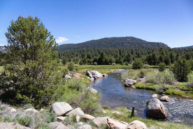 Rivière qui coule entourée de rochers, de buissons et de montagnes