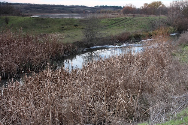 Une rivière qui coule à travers un champ herbeux