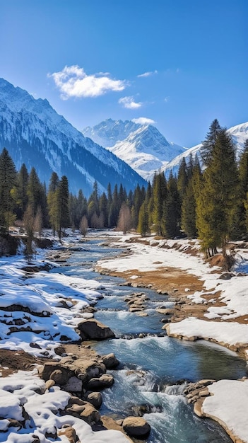 une rivière qui coule à travers une forêt couverte de neige