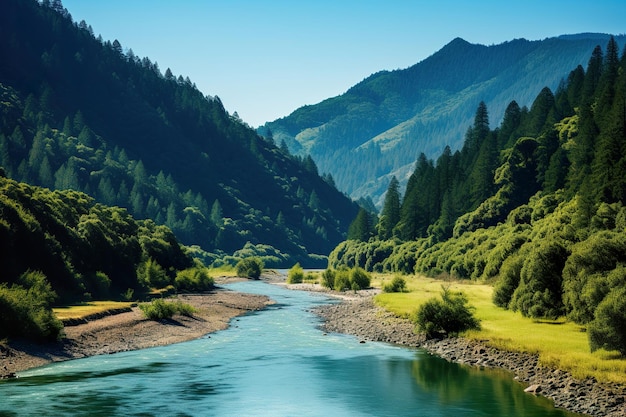 Une rivière qui coule à travers une région montagneuse