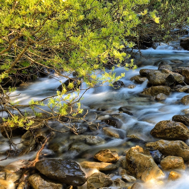 Photo une rivière qui coule à travers les rochers