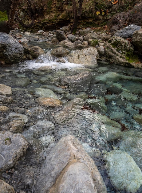 Rivière rapide montagneuse avec de l'eau claire et des platanes à Dirfys sur l'île d'Evia Grèce