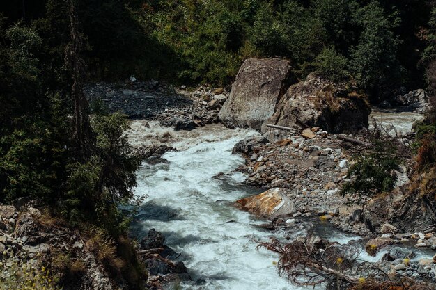 Rivière rapide près de la rive verte Flux propre et rapide qui coule sur des pierres près de la côte avec des plantes vertes dans la campagne