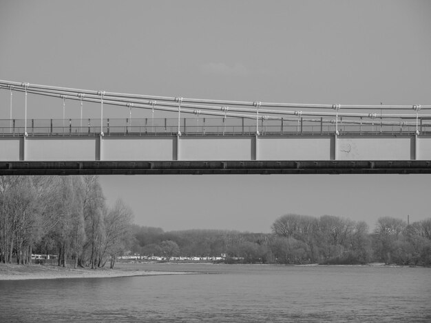 Photo rivière rhin à cologne