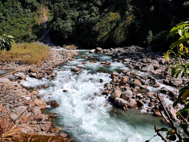 Une rivière avec des rochers et de l'eau