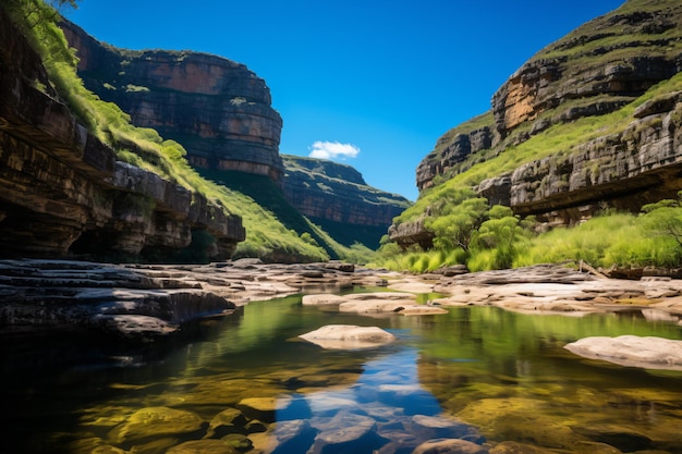 une rivière avec des rochers et de l'herbe dans un canyon