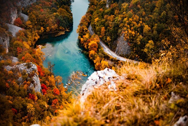 Rivière, route et forêt aux couleurs d'automne