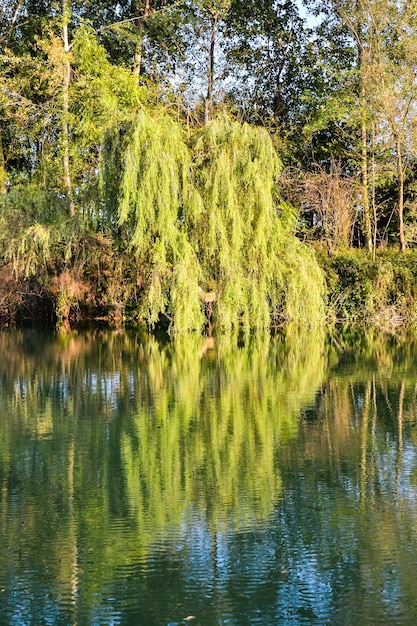 La rivière sauvage de Brenta