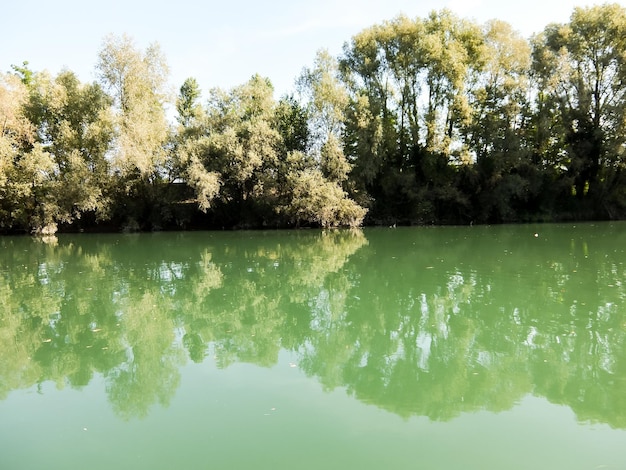 La rivière sauvage de Brenta