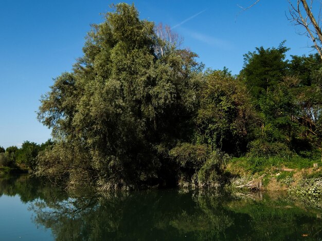 La rivière sauvage de Brenta