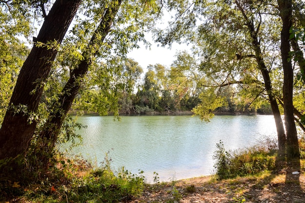 Photo la rivière sauvage de brenta