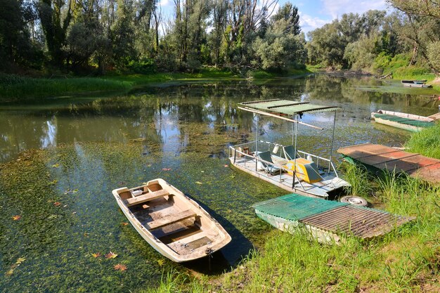 Photo la rivière sauvage de brenta