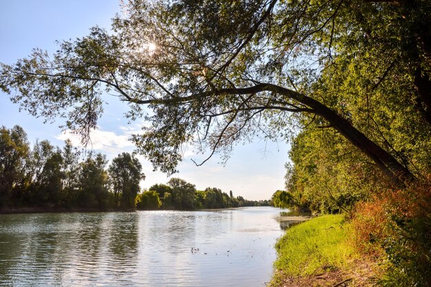 La rivière sauvage de Brenta