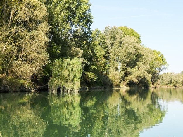 Photo la rivière sauvage de brenta