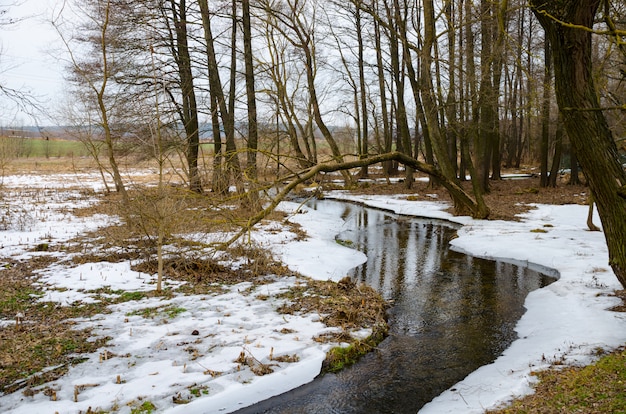 Une rivière sinueuse coule à travers la neige de printemps