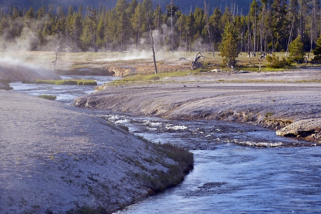 Une rivière toxique à Yellowstone