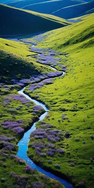 Photo une rivière tranquille coule à travers un champ vert et vibrant avec des fleurs violettes