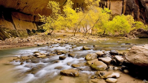 Une rivière traverse le canyon.