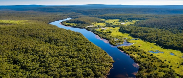 Une rivière traverse une forêt.