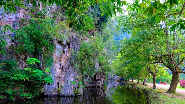 Une rivière traverse le parc