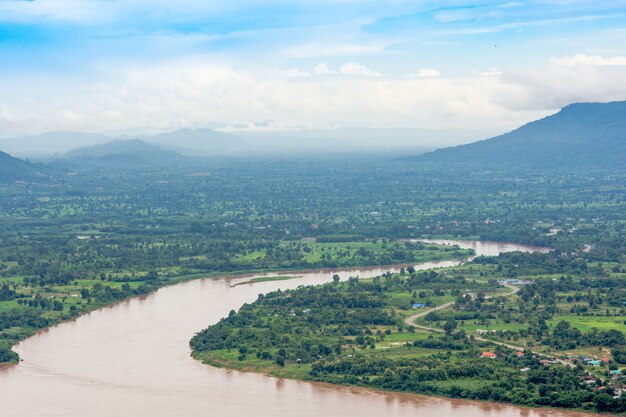 Rivière trois lignes dans l&#39;arbre vert