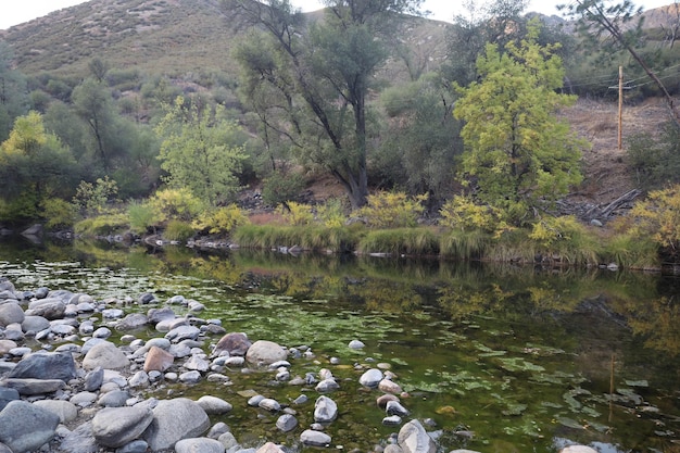 Rivière et vallées de Yosemite Merced