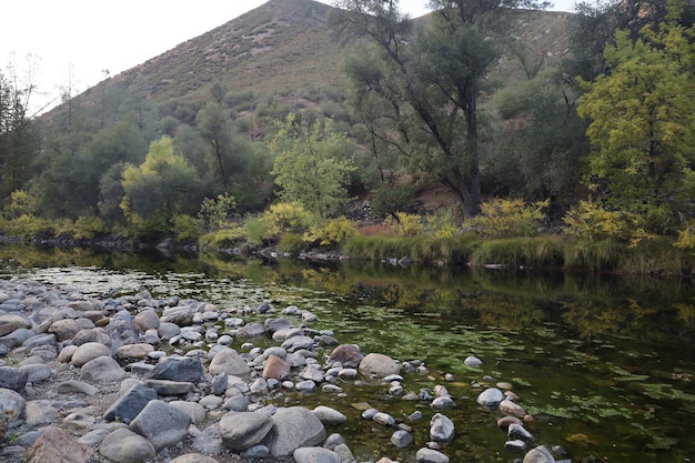 Rivière et vallées de Yosemite Merced