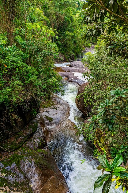Rivière et végétation de la forêt atlantique à Itatiaia, État de Rio de Janeiro, Brésil