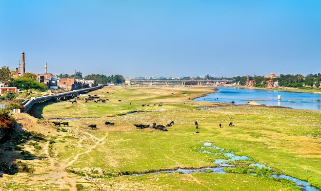 La rivière Yamuna dans la ville d'Agra. Inde