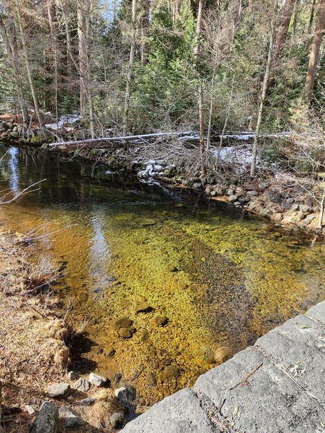 La rivière Yosemite