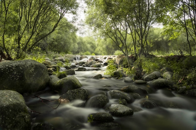 Photo la rivière