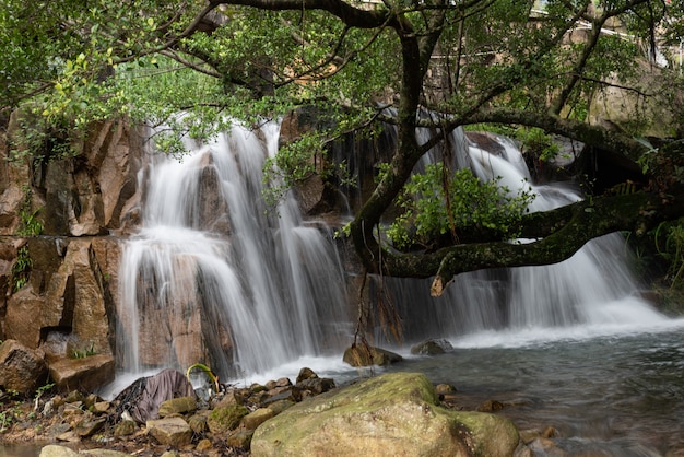 Rivières et cascades à la campagne