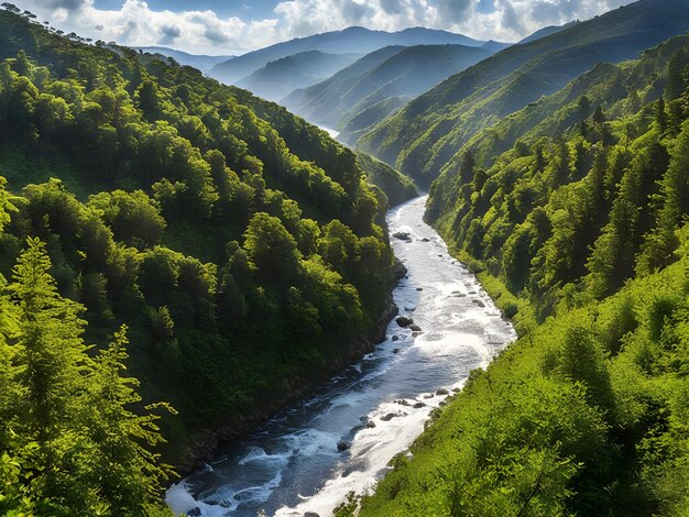 Photo les rivières avec des gorges de montagne