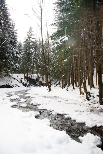 Rivières en hiver avec neige et glace