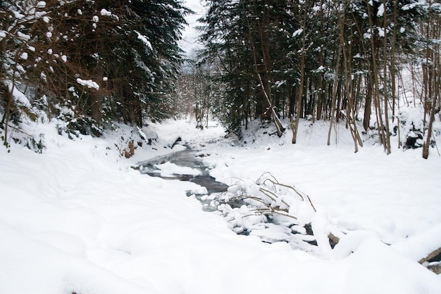 Rivières en hiver avec neige et glace